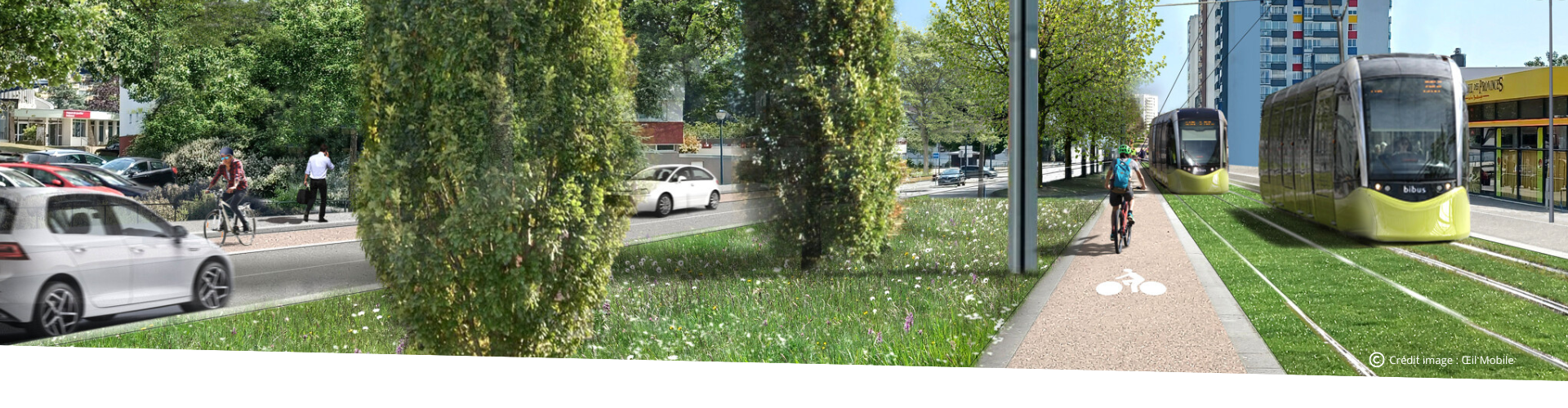 Bannière de la page d'accueil Bibus 2026