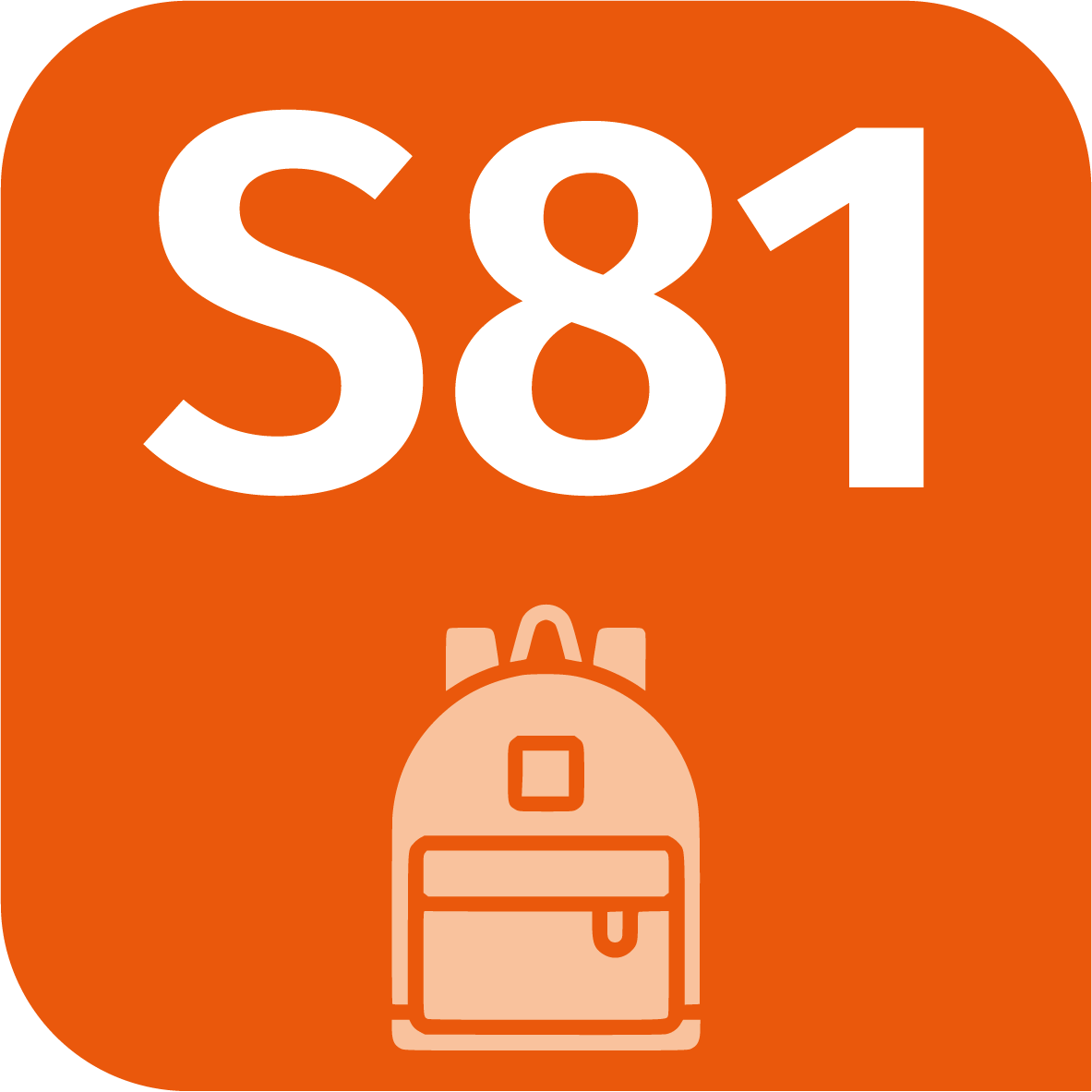 S81